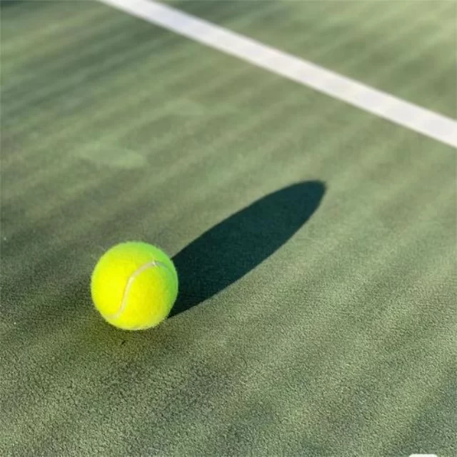 乒乓球冠军竞争格局的独特数据视角深度解析